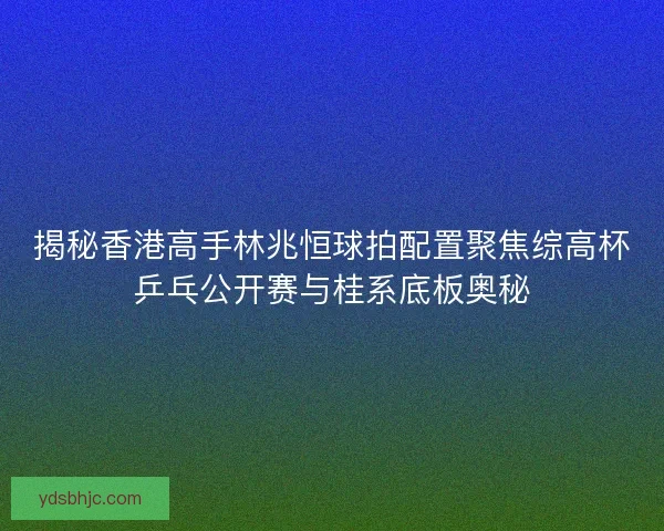 揭秘香港高手林兆恒球拍配置聚焦综高杯乒乓公开赛与桂系底板奥秘