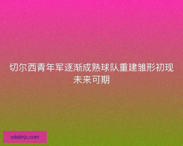 切尔西青年军逐渐成熟球队重建雏形初现未来可期